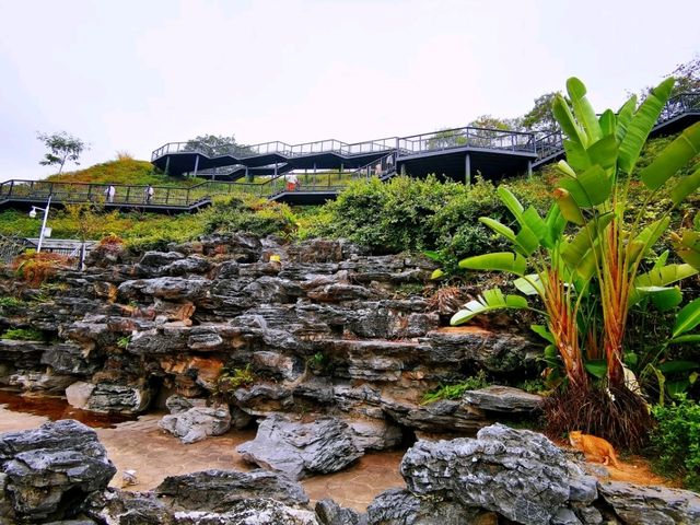 玉龍公園