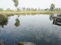 Hong Kong’s Hidden Wetlands: Our Nam Sang Wai Cycling Trip