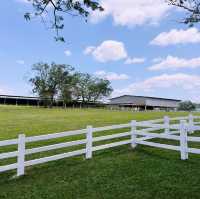 Fresh From the Farm: A Dairy Delight at Farm Fresh @UPM!