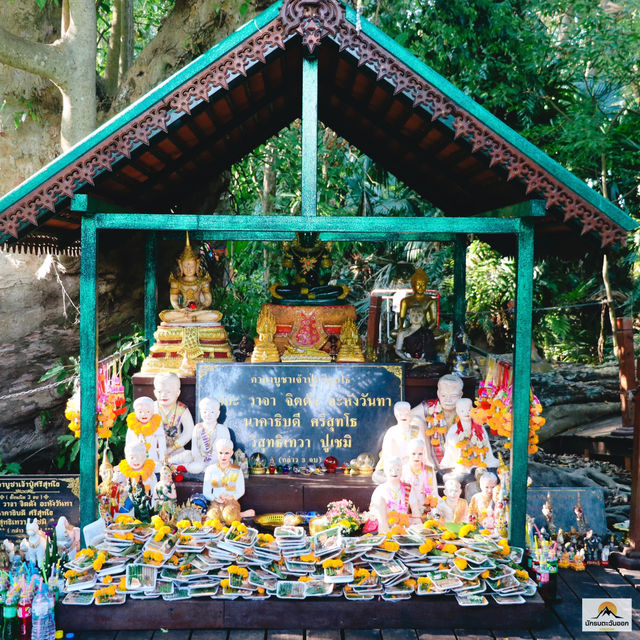 คำชะโนด วังนาคินทร์