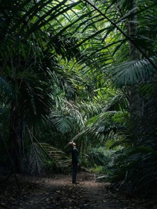 Christmas Island 🇨🇽 