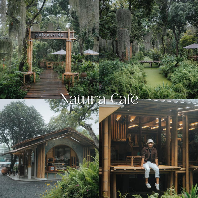 16 คาเฟ่บรรยากาศสุดกรีน “กรุงเทพฯ” ☕️🍃💚