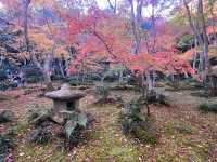 A Sanctuary for the Heartbroken Souls  — The Gio-ji Temple in Arashiyama