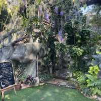 The Ozone Bangkrajao คาเฟ่ย่านบางกระเจ้า