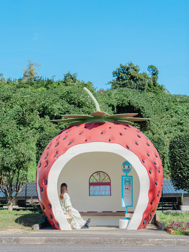 【長崎】SNSで話題！かわいすぎる「フルーツバス停」🍓🍈🍊