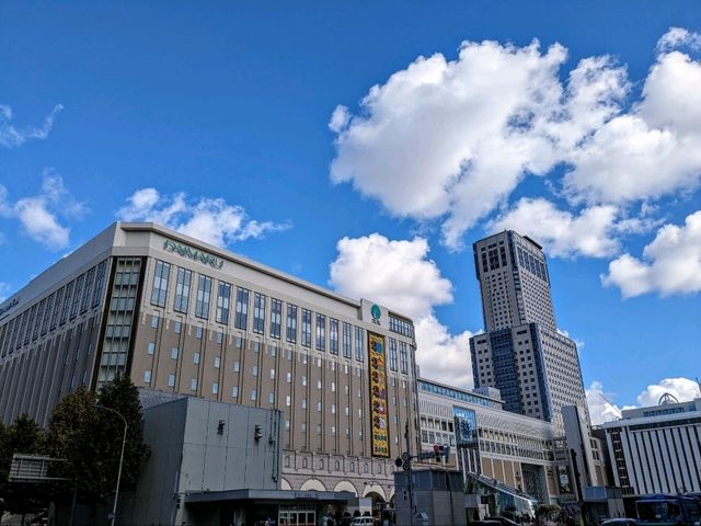 海鮮丼DIY 札幌平價商旅：Hotel MYSTAYS Sapporo Aspen