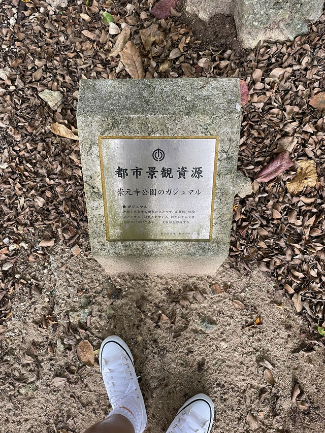 【沖縄】那覇市 那覇の穴場パワースポットへ行ってみよう