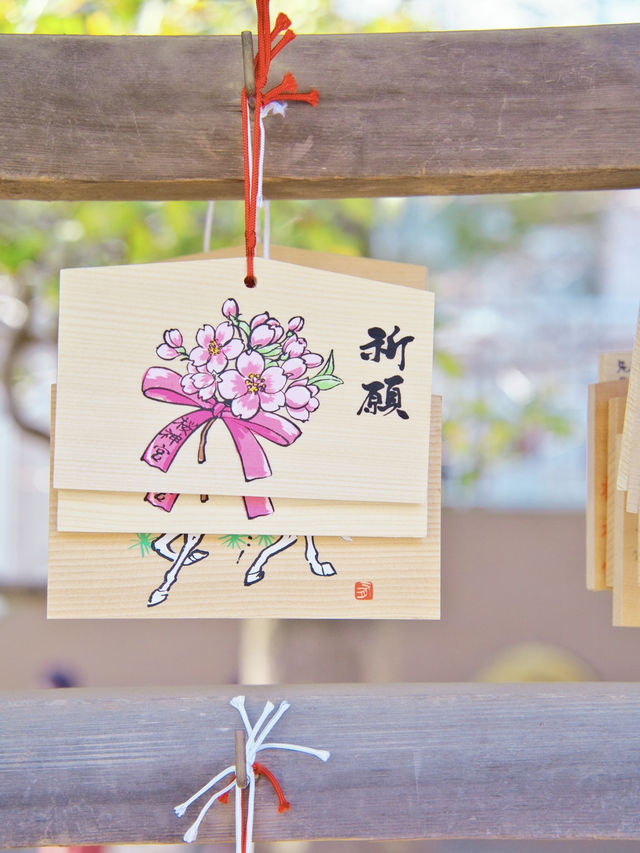 【東京】都会の隠れ家で早咲きの桜を愛でる🥰河津桜で春の訪れを感じよう🌸周辺観光情報付き