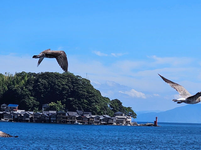 伊根灣的療癒小旅行