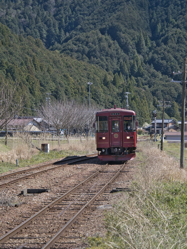【岐阜】レトロな駅舎でタイムトリップ🕰️美濃市駅でノスタルジーを感じよう🚃