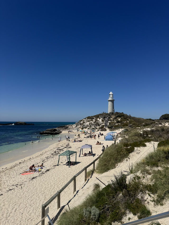 A Day at Pinky Beach, Rottnest Island