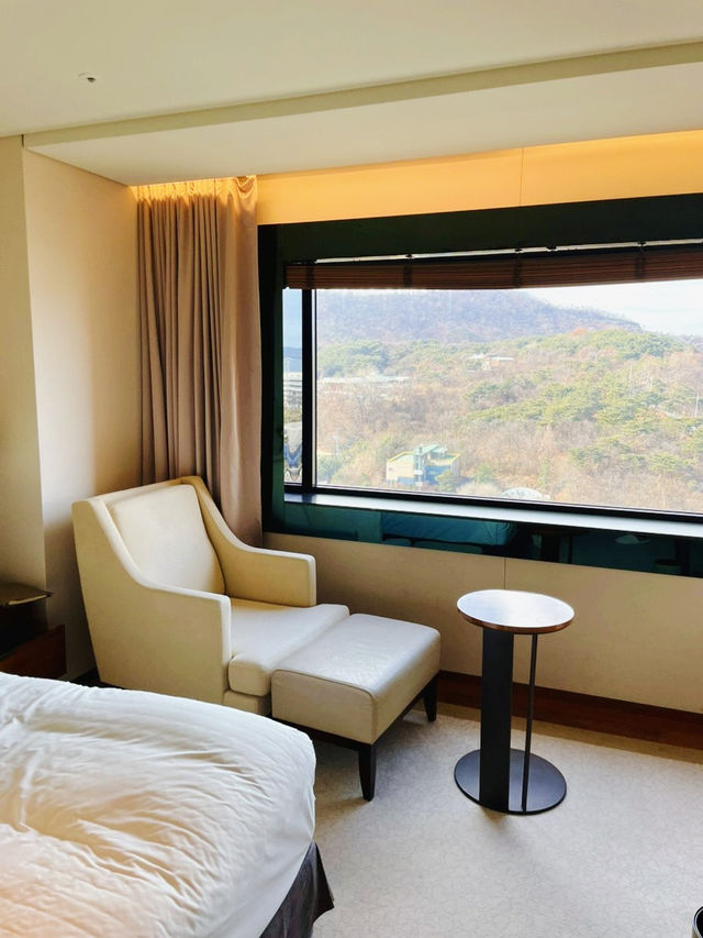 도심 속 럭셔리 호캉스, 여기 어때?🏨