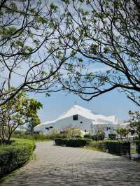 台江國家公園漫遊 🌳☁️ 水上建築的寧靜 