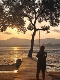 The Mangrove by Blu Monkey