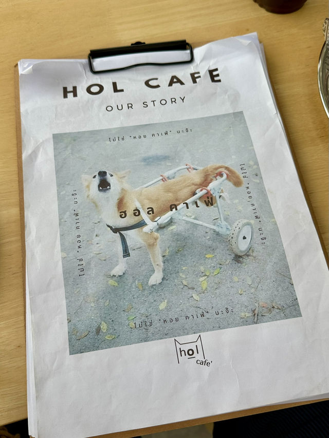 Hol Coffee & Roastery คาเฟ่เขาใหญ่ไวบ์ดี กาแฟดี