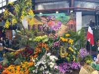 台南後壁-亞太蘭花會議暨台灣國際蘭展 Orchid Show 