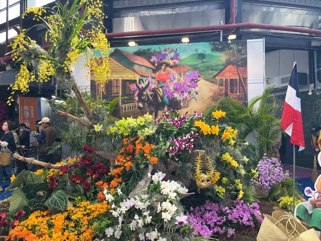 台南後壁-亞太蘭花會議暨台灣國際蘭展 Orchid Show 