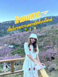 ✨ห้ามพลาด ที่เที่ยวธรรมชาติเชียงใหม่✅