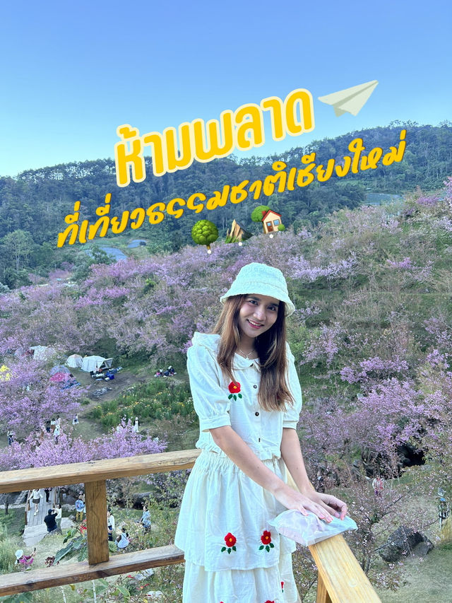 ✨ห้ามพลาด ที่เที่ยวธรรมชาติเชียงใหม่✅