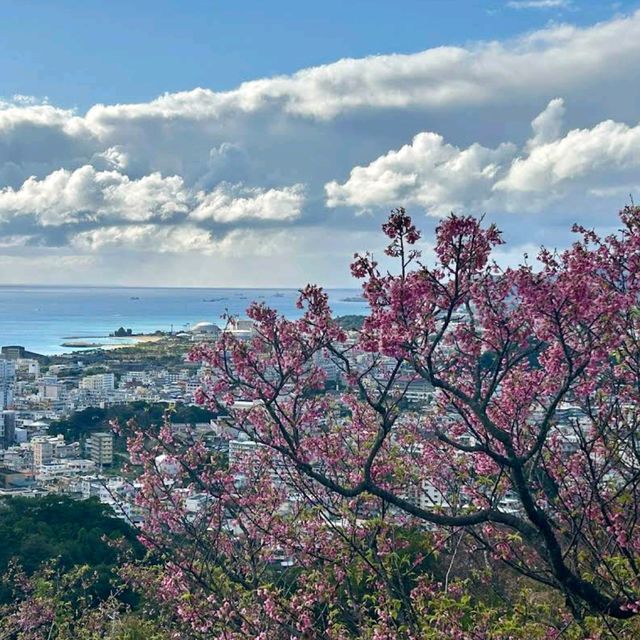 Nago Castle Park