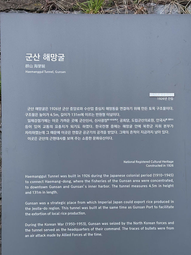 군산, 벚꽃보며 산책하기 좋은 곳