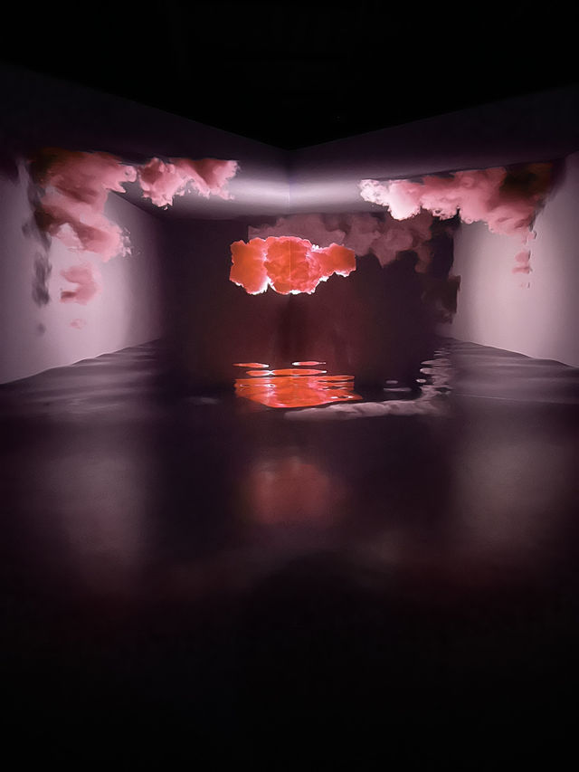 Fun visual Arte museum 