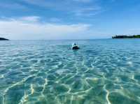 ดำน้ำดูปะการังเกาะกูด—ใต้ทะเลที่สวยจนหยุดหายใจ