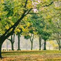 都市の中心に広がる癒しの緑地🌳