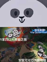 🐼💖【海洋公園雙胞胎熊貓BB全攻略】家姐萌到犯規！細佬招牌「熊貓癱」攻陷全港姨母心💖🐼  