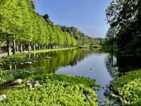 月眉人工濕地生態公園ㄧ日浪漫遊