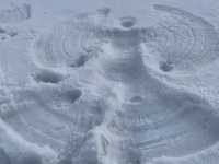 Spend A Day In Niseko Japan!!