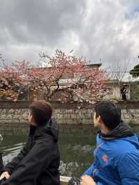 福岡｜水鄉柳川遊船 飽覽江戶時代城下町美景與船夫技藝