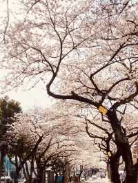 A Perfect Spot for a Romantic Spring Date!