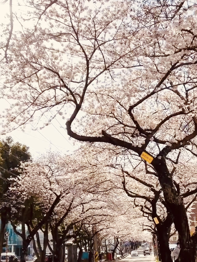 A Perfect Spot for a Romantic Spring Date!