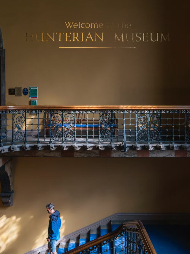 Hunterian Museum: Glasgow’s Treasure Trove of History and Science