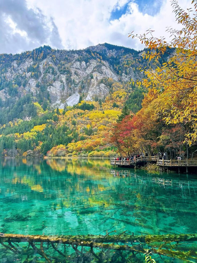 Jiuzhaigou’s Stunning Autumn Scenery