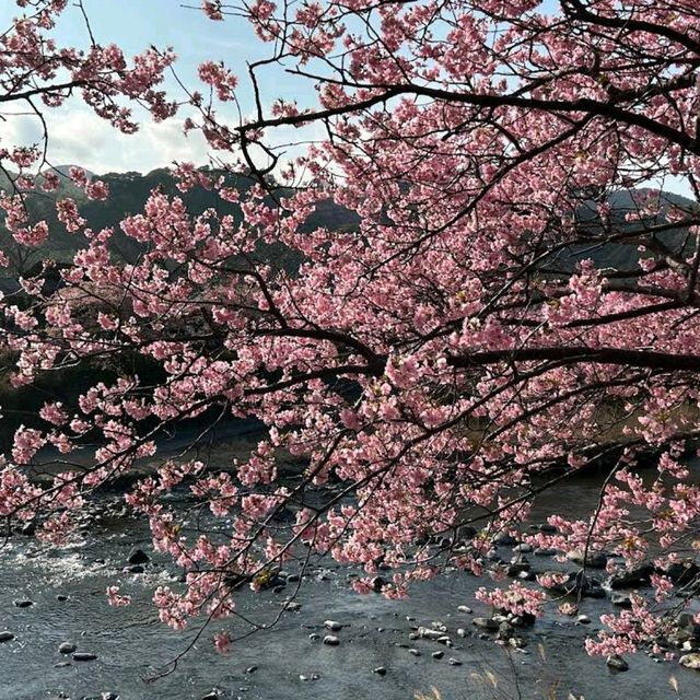 Kawazu, Shizuoka Prefecture
