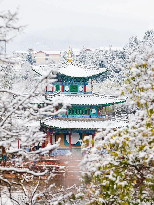 Winter and Spring Magic at Lijiang Black Dragon Pool
