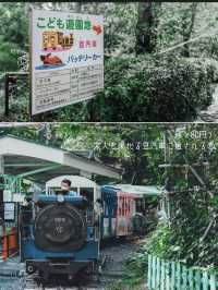 小田原旅プラン｜完全攻略