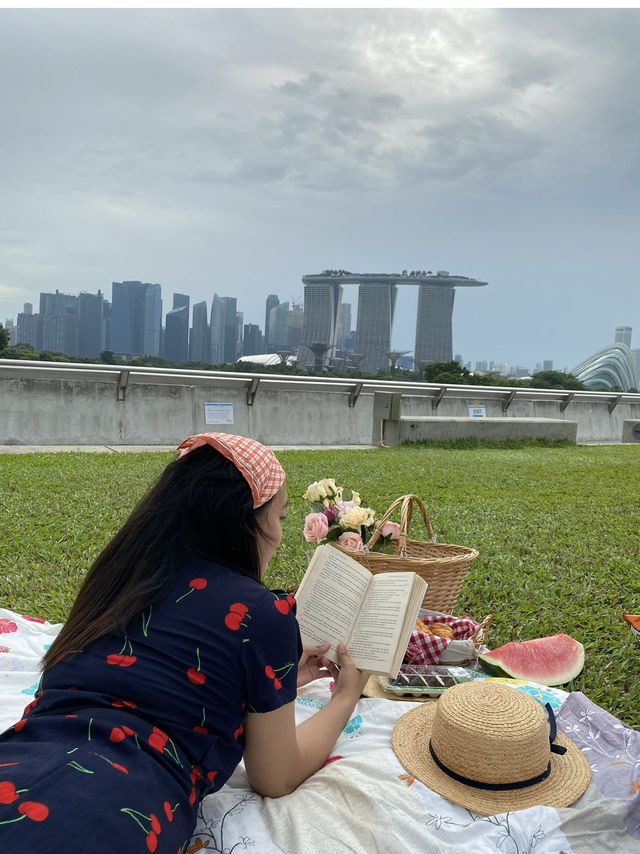 DREAMY PICNIC VIEW IN SINGAPORE 🇸🇬