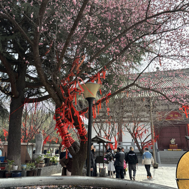 Xi’an’s Dayanta: A Lasting Impression Before Takeoff