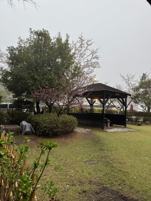 櫻櫻溫泉旅館