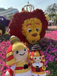 百花齊放的香港花卉展覽2025🥰😘😍💐🌺🪻🌸🌻🌞