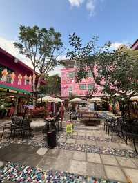 Unforgettable Moments in Chiang Mai