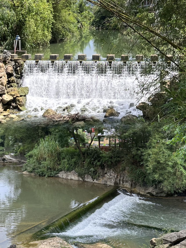 🌿 My Hidden Gem in Southern China