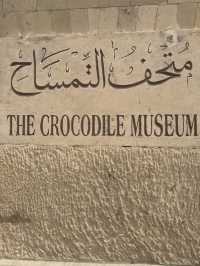 A museum dedicated to Crocodiles!