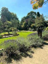 Fletcher Moss Botanical Gardens