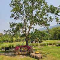 🌸Margaret Private Villa & Cafe Rayong 🌼