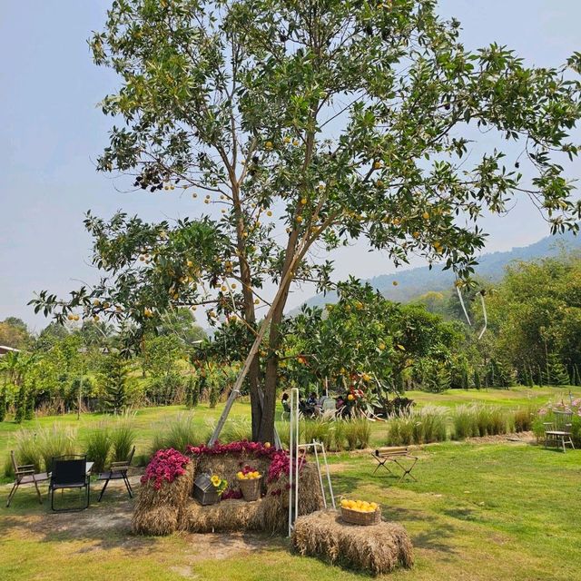 🌸Margaret Private Villa & Cafe Rayong 🌼