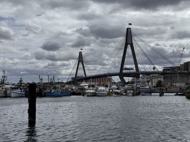 Beautiful Sydney